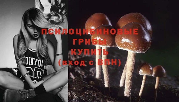 винт Арсеньев
