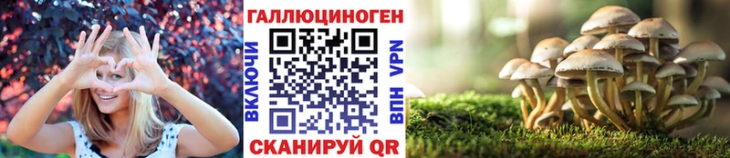 Псилоцибиновые грибы Cubensis  Белая Калитва 